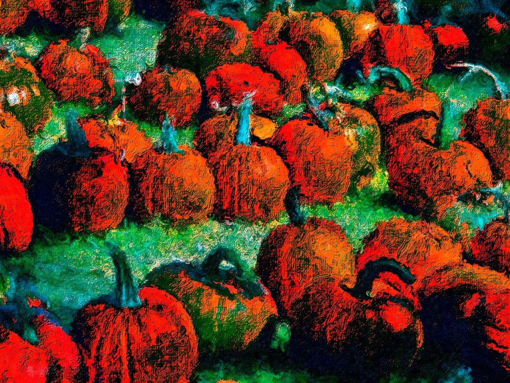 pumpkins-20723_1280